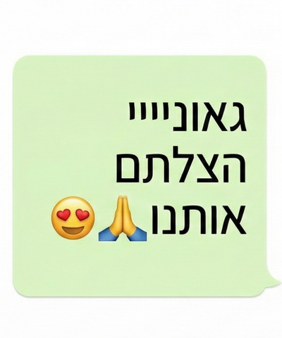 המלצה על Winder מגל & רוני - ניהול רשימת מוזמנים לחתונה